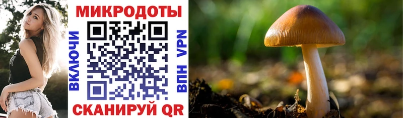 Галлюциногенные грибы мицелий  Облучье 