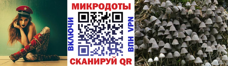 Галлюциногенные грибы Psilocybe Облучье